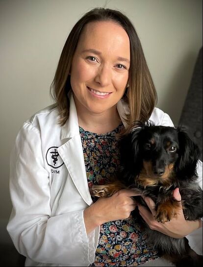 Welcome, Dr. Sarah Fidler! - Schmitt's Animal Hospital