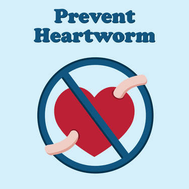 Prevent heartworm disease