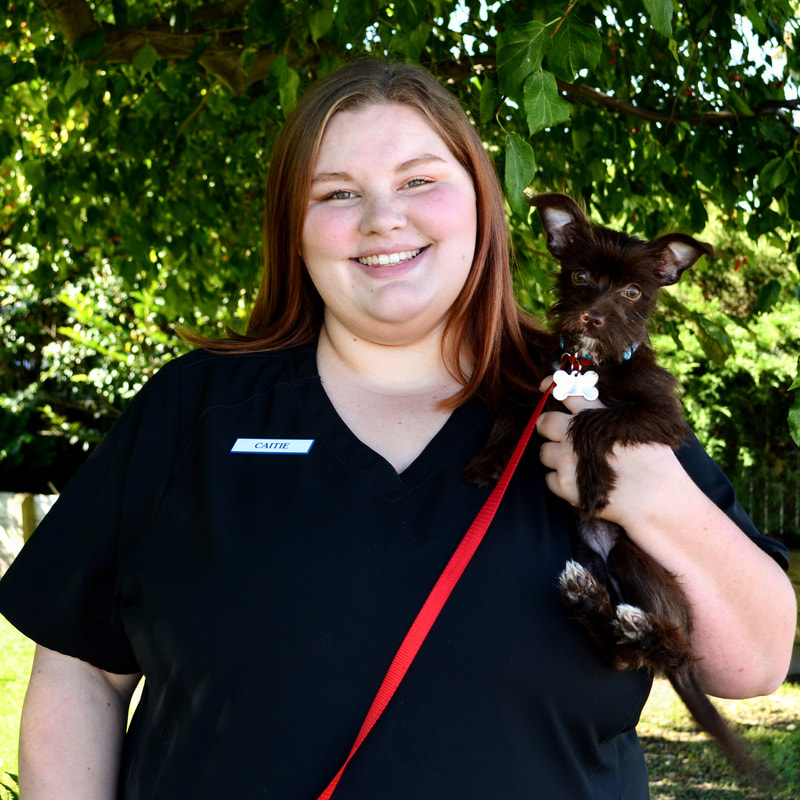 Caitie Sayer, Veterinary Receptionist