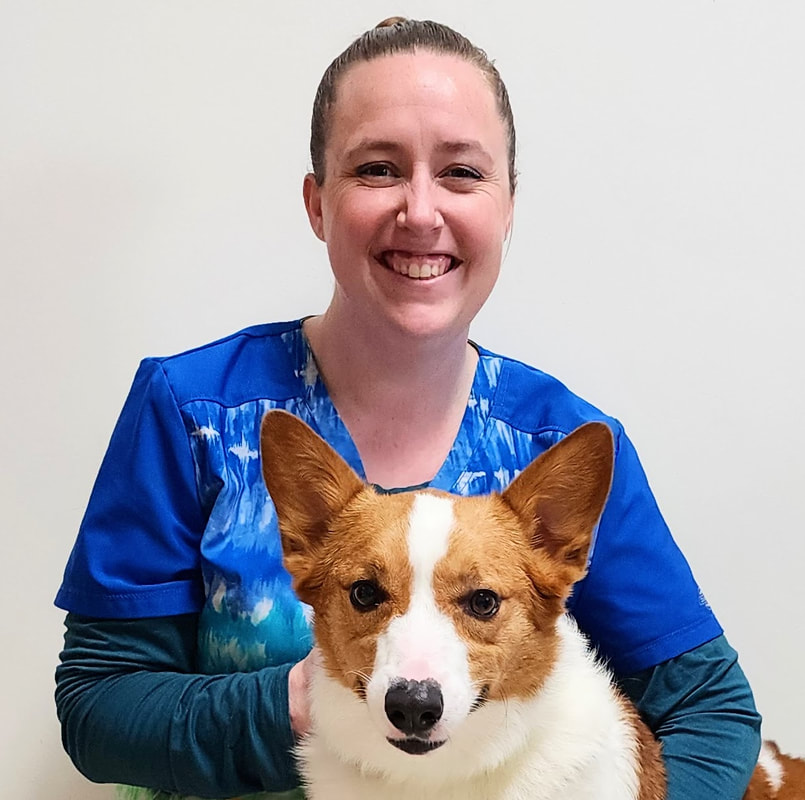 Beth Willcome, Veterinary Receptionist