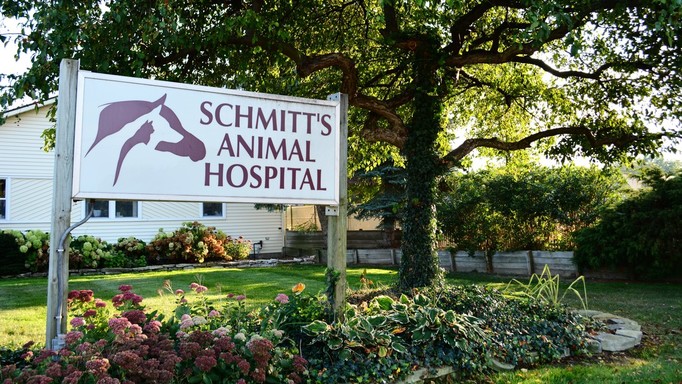 Schmitt's Animal Hospital sign and foliage at the front of the building