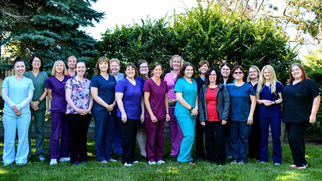 Group picture of the staff of Schmitt's Animal Hospital, including veterinarians, licensed veterinary technicians (LVTs), veterinary assistants, veterinary receptionists, business manager, and office manager.