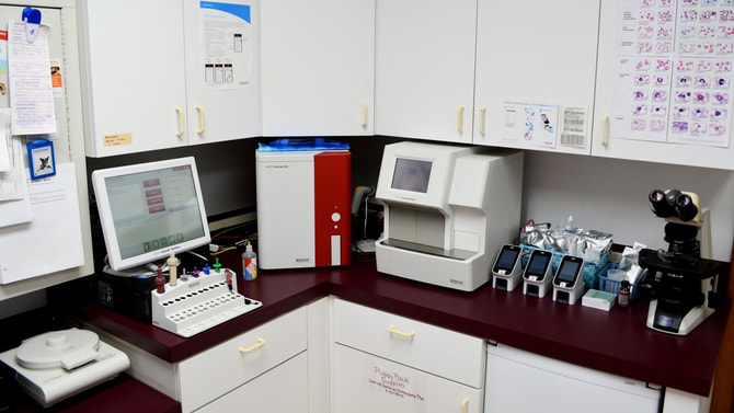 Our laboratory area with all of our blood diagnostic machines and microscope